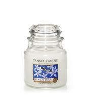 مرطبان شمع Midnight Jasmine 104غرام YANKEE