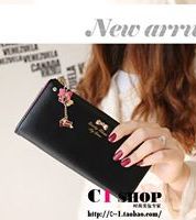 جزدان  - واسواد