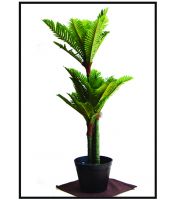 شجرات نخل قوار صب