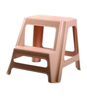 سلم  درجتين