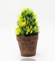 قوار رود 916632