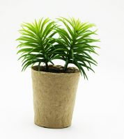 قوار ورد ورق كرتون 916629