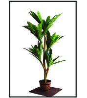 شجرة ورق طويل 1.5 صب قوار