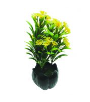 ورد  شكل  وردة 9981222