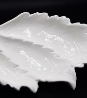 بورسلان ابيض ورقة شجرة 9169517