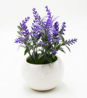 قوار ورد دائري ابيض 916631