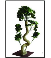 شجرة شذع مطعوج  916646