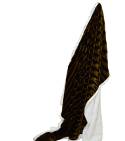 حرام فرو130*150   (عند شراء ب100