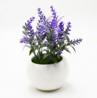 قوار ورد دائري ابيض 916631