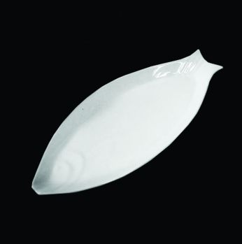 صحن سمكة 997827 13