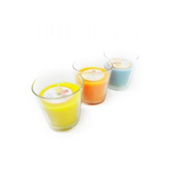 طارد الحشرات  3 قطع Citronella Mosquito Candle