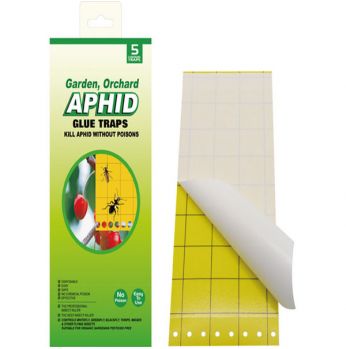  مصائد لاصقة 24*10سم 30 شريحة  Aphid Glue Traps(paper Board