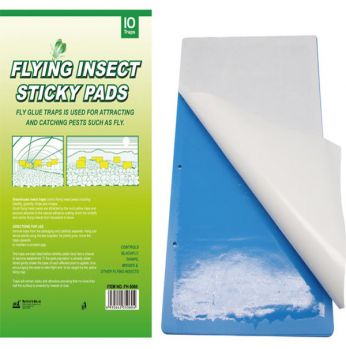 مصائد لاصقة زرقاء 24.5*39 سم 20 شريحة Fly Insect Sticky Pads Plastic Board