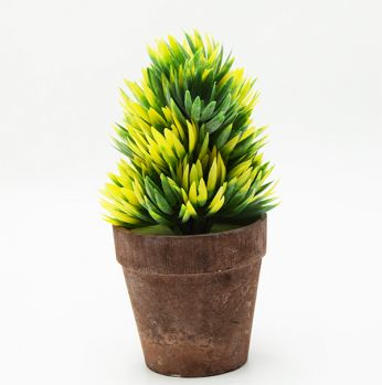 قوار رود 916632