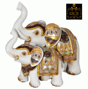 زوج فيليه ابيض 28 سم