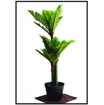 شجرات نخل قوار صب