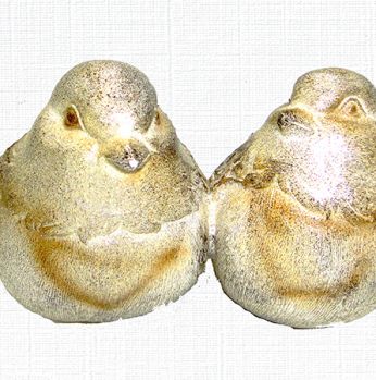 زوج عصفور  Xiamen