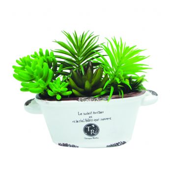 ورد حديد يد 9981238