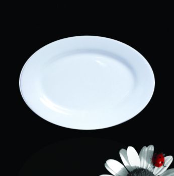 جاط بيضاوي  13