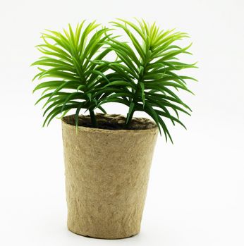 قوار ورد ورق كرتون 916629