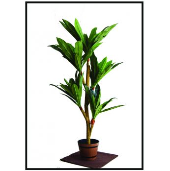 شجرة ورق طويل 1.5 صب قوار