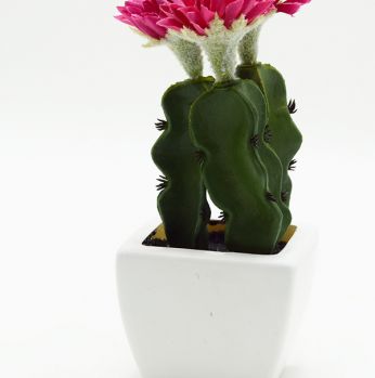 قوار ورد 3 وردة قاع صبار 916625