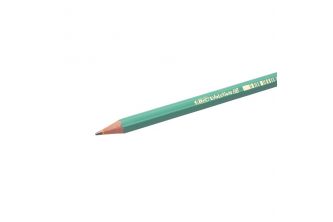 قلم رصاص مع محاية Bic Evolution