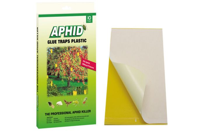 مصائد لاصقة 24*17 سم 20 شريحة Glue Traps Aphid  Plastic Board