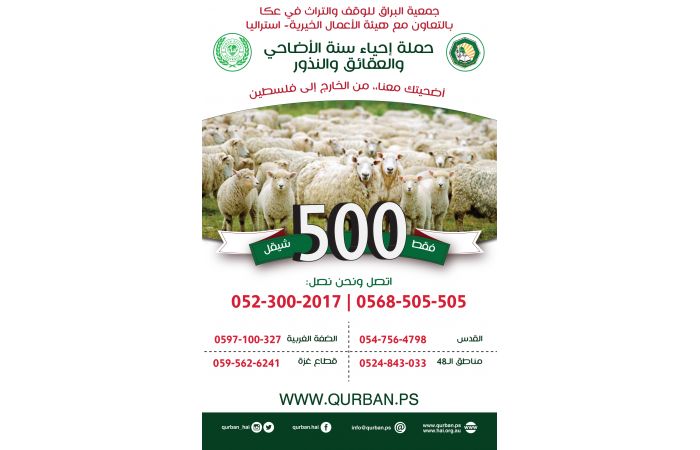 اضحية عيد الاضحى المبارك
