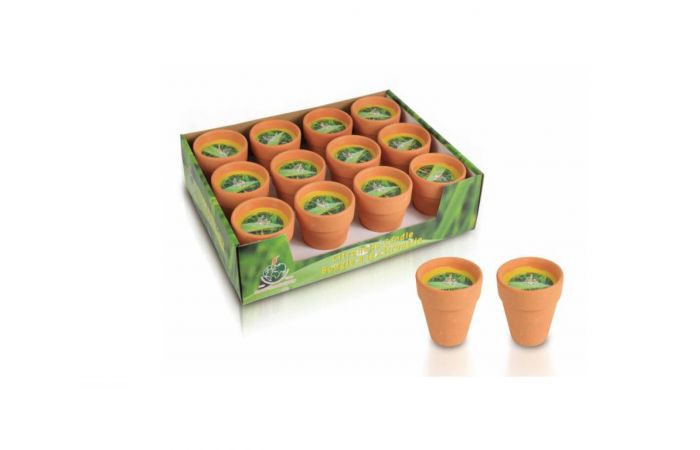 شمع للطرد الباعوض Citronella Candles in pottery